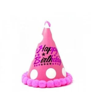 Birthday Cap Fancy karkizcake