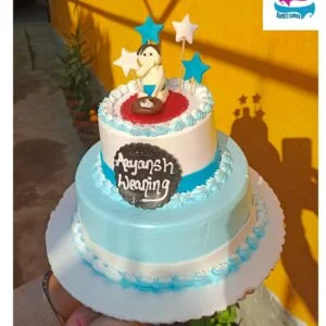 Rice Feeding cake