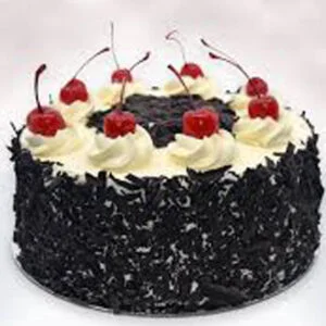 Black forest cake with fresh Stem cherry (216)